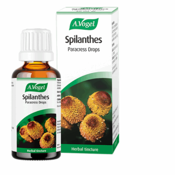 A.VOGEL Spilanthes 50ML